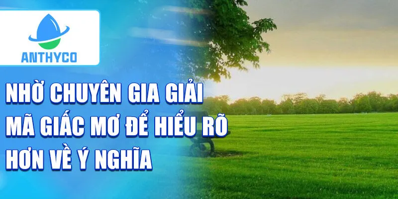 Nhờ chuyên gia giải mã giấc mơ để hiểu rõ hơn về ý nghĩa