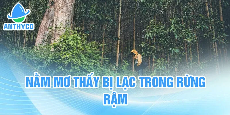 Nằm mơ thấy bị lạc trong rừng rậm