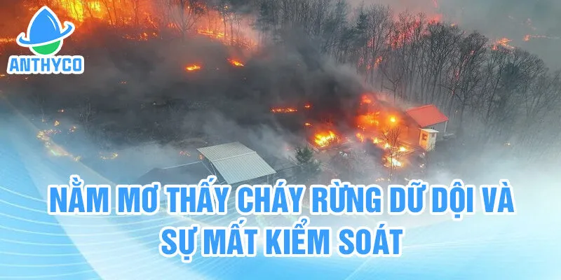 Nằm mơ thấy cháy rừng dữ dội và sự mất kiểm soát