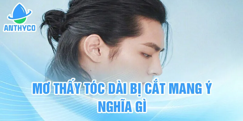 Mơ thấy tóc dài bị cắt mang ý nghĩa gì