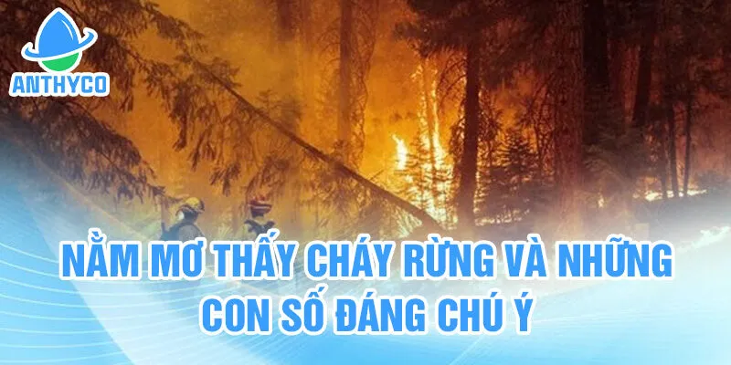 Nằm mơ thấy cháy rừng và những con số đáng chú ý