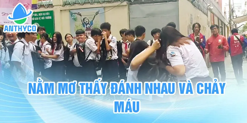 Nằm mơ thấy đánh nhau và chảy máu