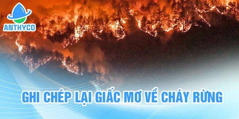 Ghi chép lại giấc mơ về cháy rừng