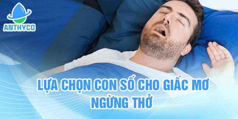 Lựa chọn con số cho giấc mơ ngừng thở