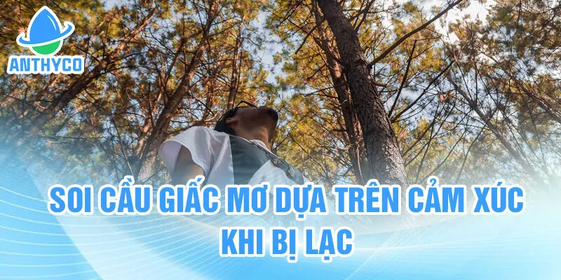 Soi cầu giấc mơ dựa trên cảm xúc khi bị lạc